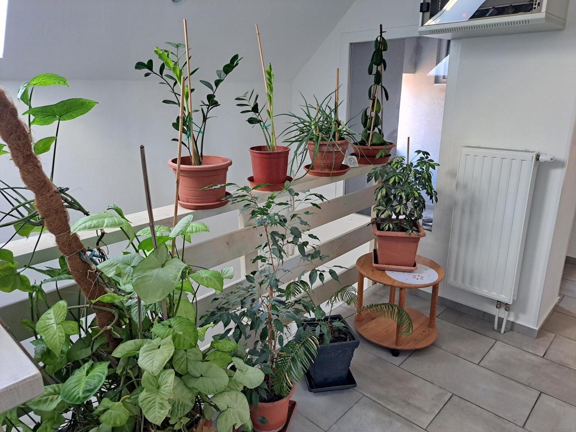 Apartmany Amalia Piest'any Ngoại thất bức ảnh